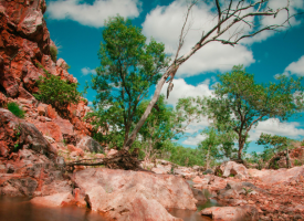 Mt Isa