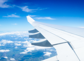 Plane wing