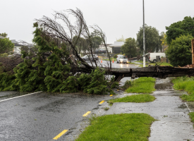 Cyclone Alfred 2025