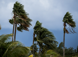 Cyclone Alfred