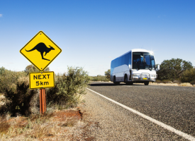 Rural Australian road with kangaroo road sign and a bus