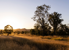 Landscape of rural Australia bush scenery