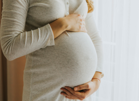 Maternity