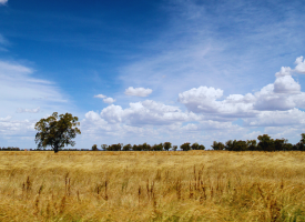 Rural