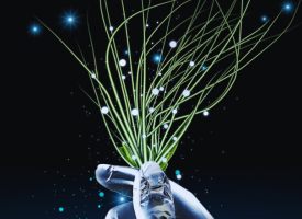 digital image for launch of report