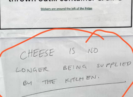 Cheese