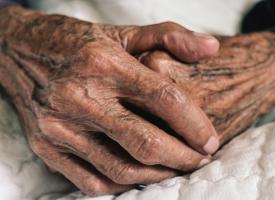 aged hands