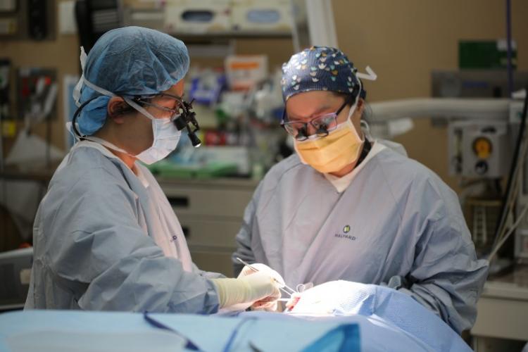 women surgeons operating wearing masks