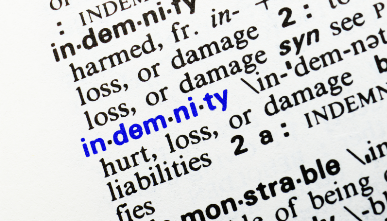 dictionary definition of indemnity 