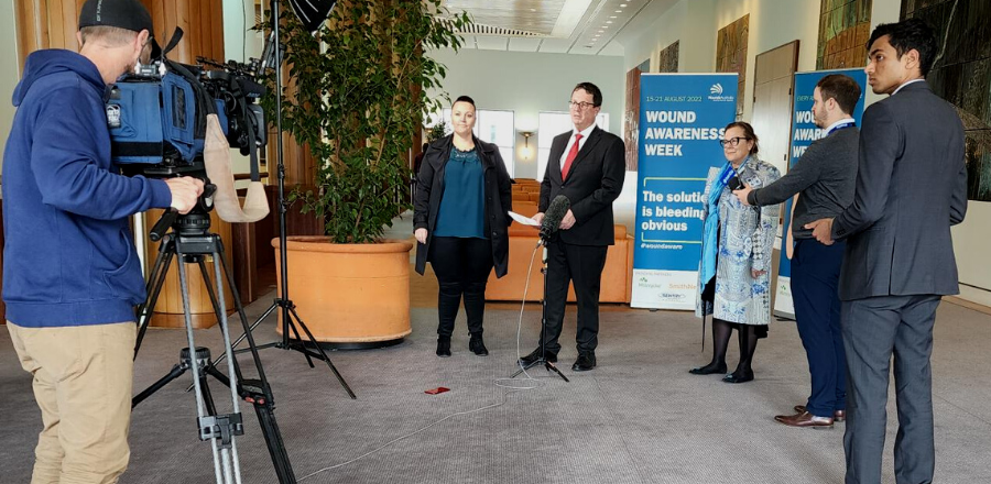 Launch of the wound care report