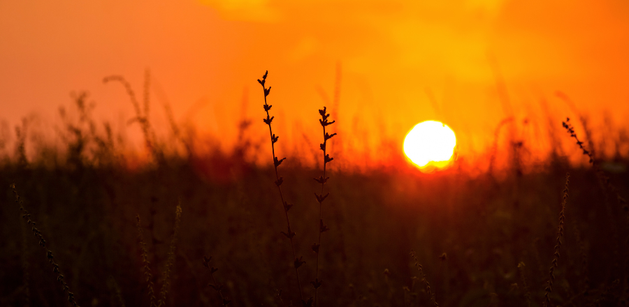 Rising temperatures