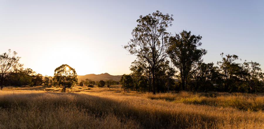 Landscape of rural Australia bush scenery