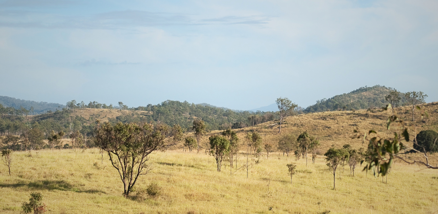 Rural Australian landscape