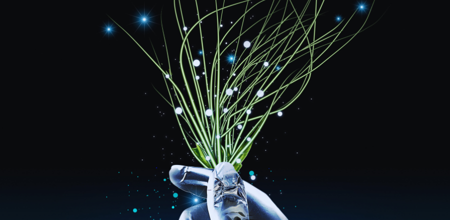 digital image for launch of report